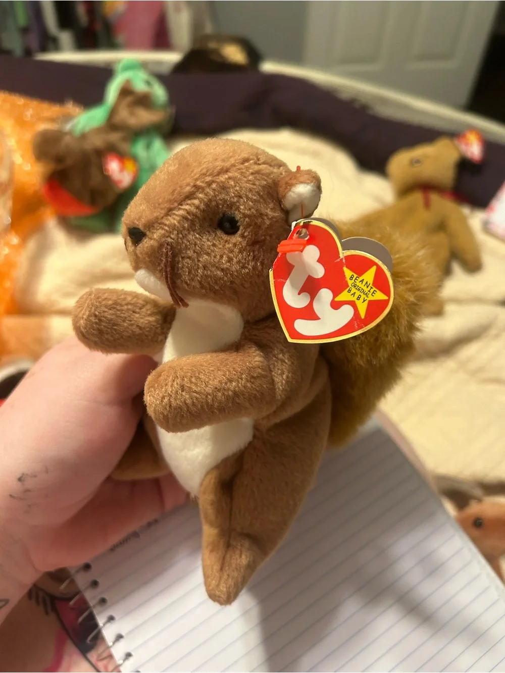 Ty Brown and White Squirrel Beanie Plush